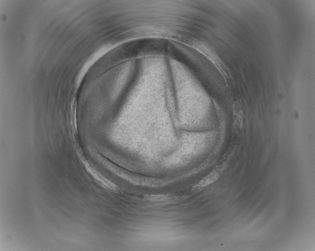 X0000071781128200607282231