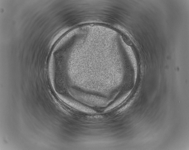 X0000071781129200607282231