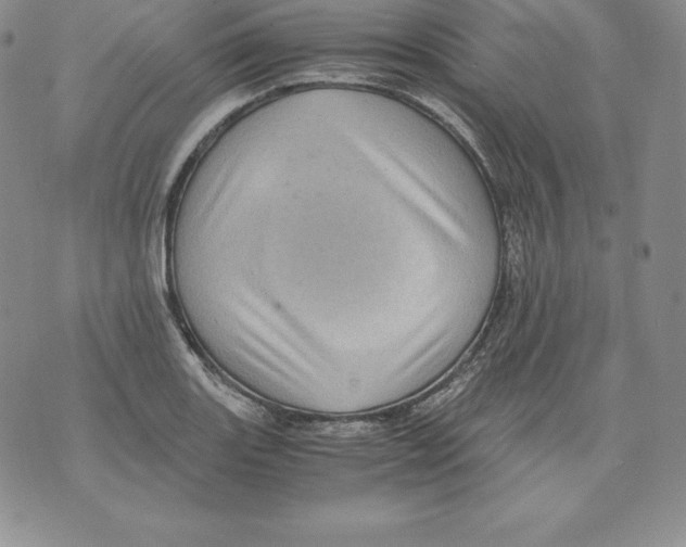 X0000071781131200607282231