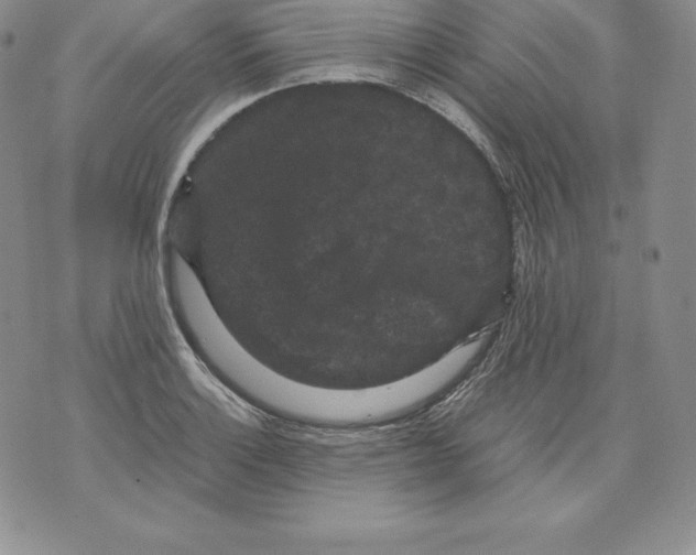 X0000071781132200607282231