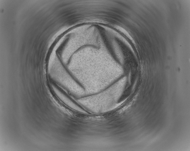 X0000071781133200607282231