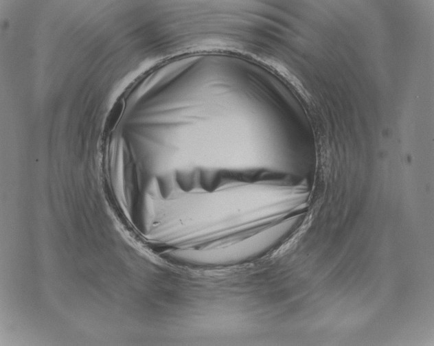 X0000071781134200607282231