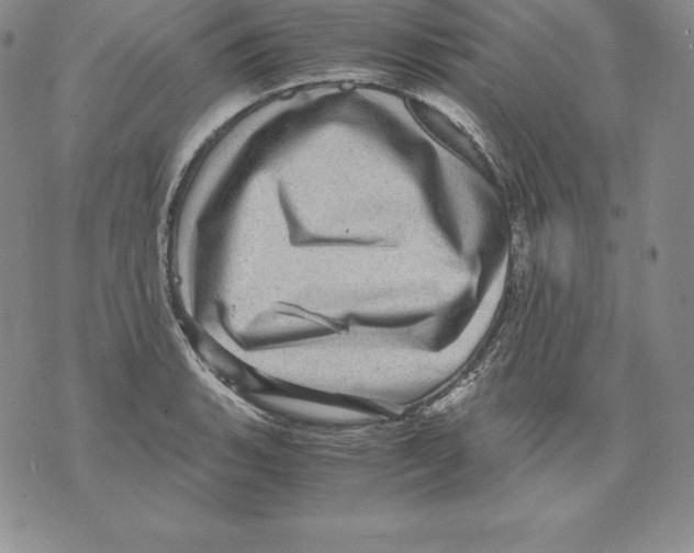 X0000071781135200607282231