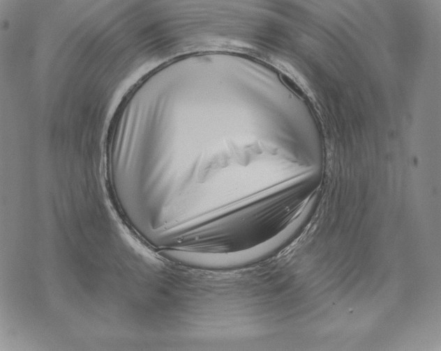 X0000071781136200607282231