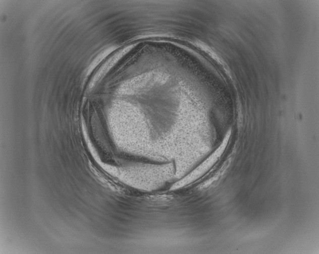 X0000071781137200607282231