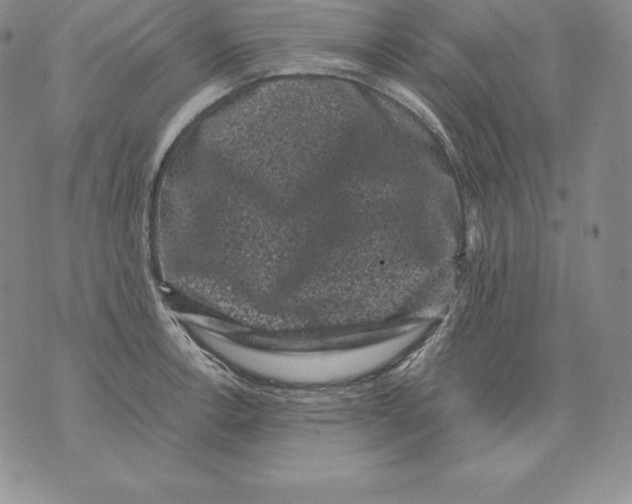 X0000071781138200607282231