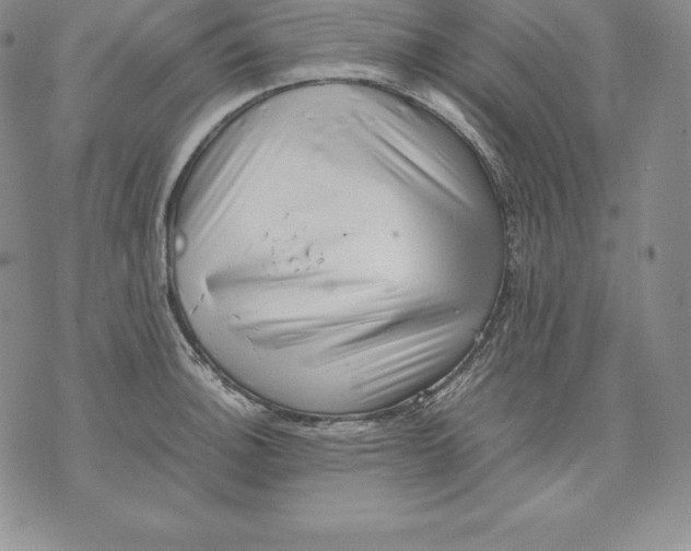 X0000071781140200607282231