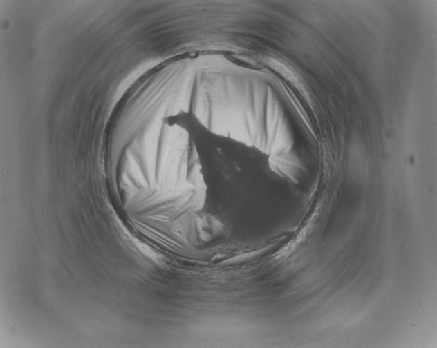 X0000071781141200607282231