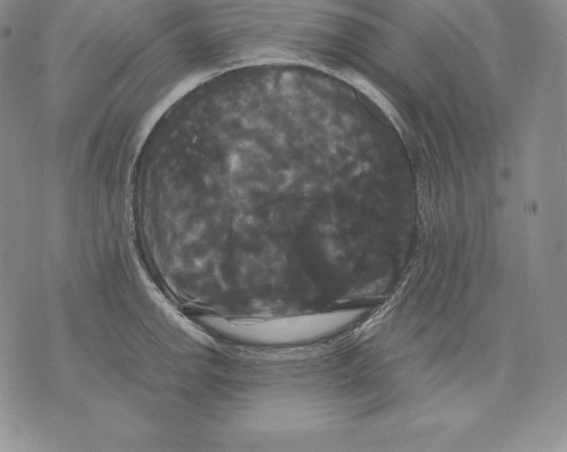 X0000071781142200607282231