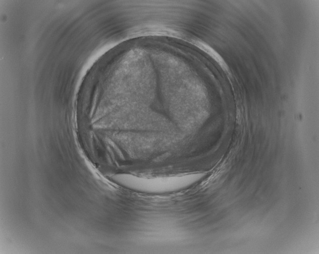 X0000071781144200607282231