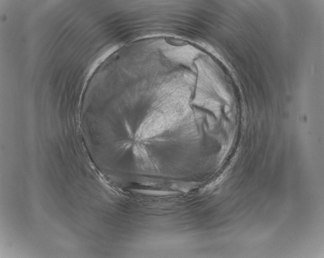 X0000071781145200607282231