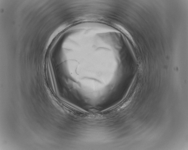 X0000071781146200607282232