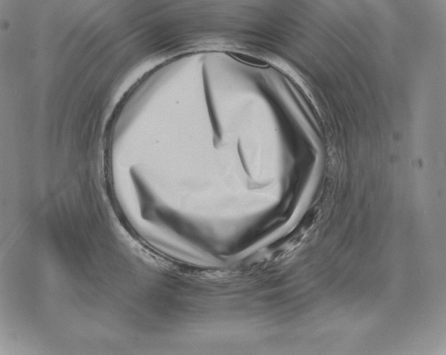 X0000071781147200607282232