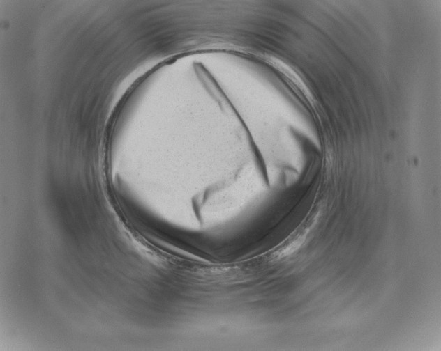 X0000071781149200607282232