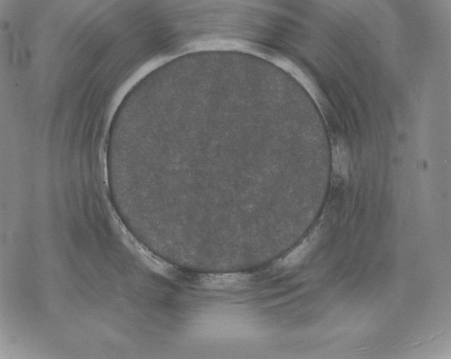 X0000071781150200607282232