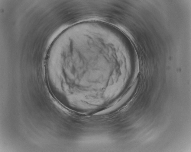 X0000071781151200607282232