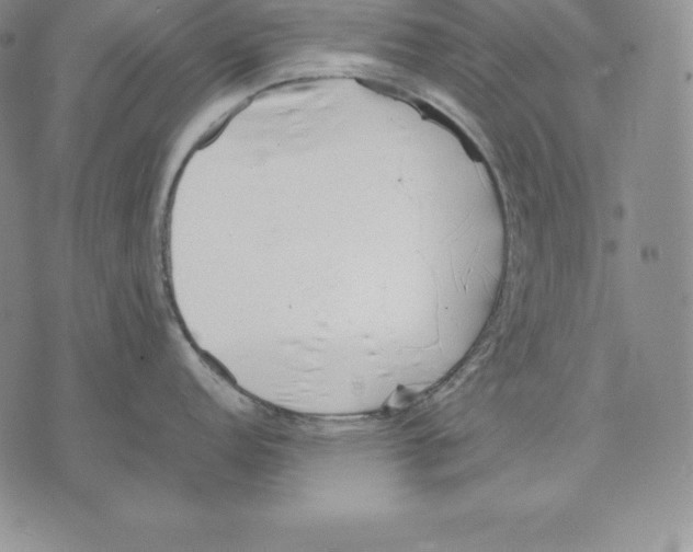 X0000071781152200607282232