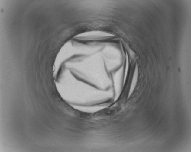 X0000071781153200607282231