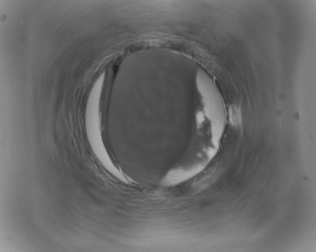 X0000071781155200607282231