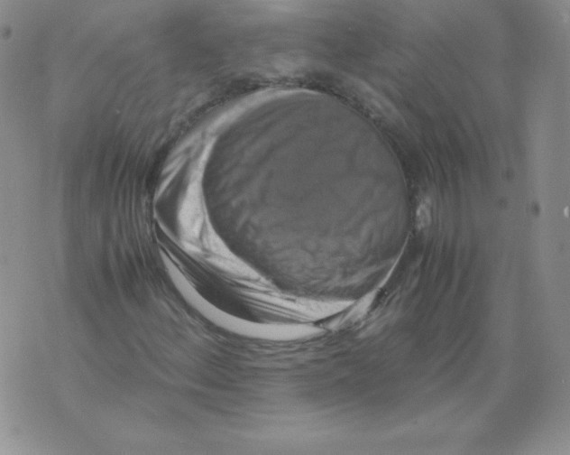 X0000071781156200607282231