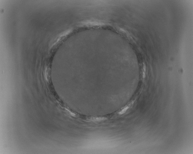 X0000071781157200607282231