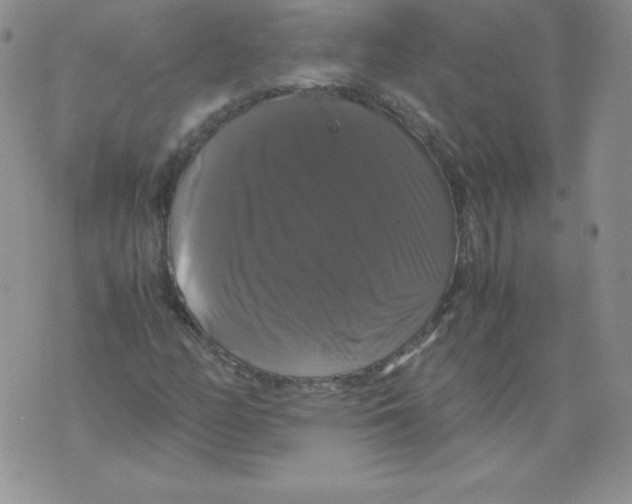 X0000071781158200607282231