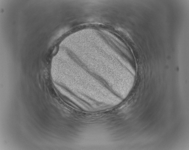 X0000071781159200607282231