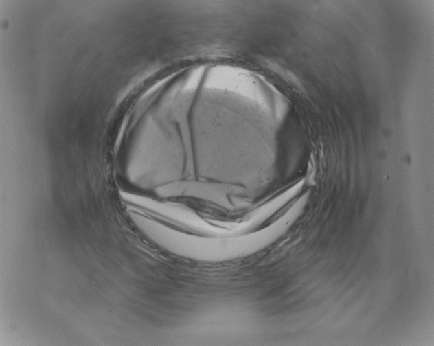 X0000071781160200607282231