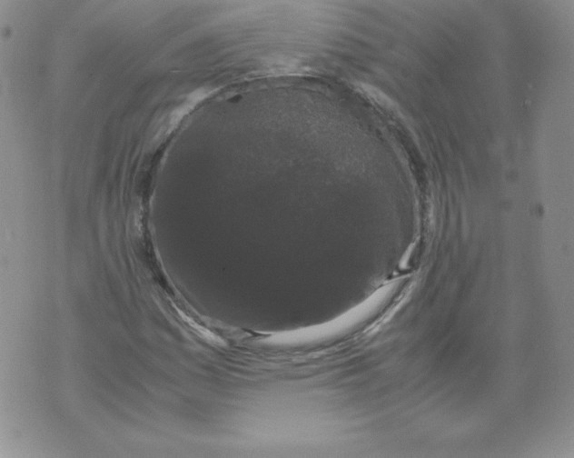 X0000071781161200607282231