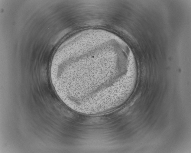 X0000071781162200607282231