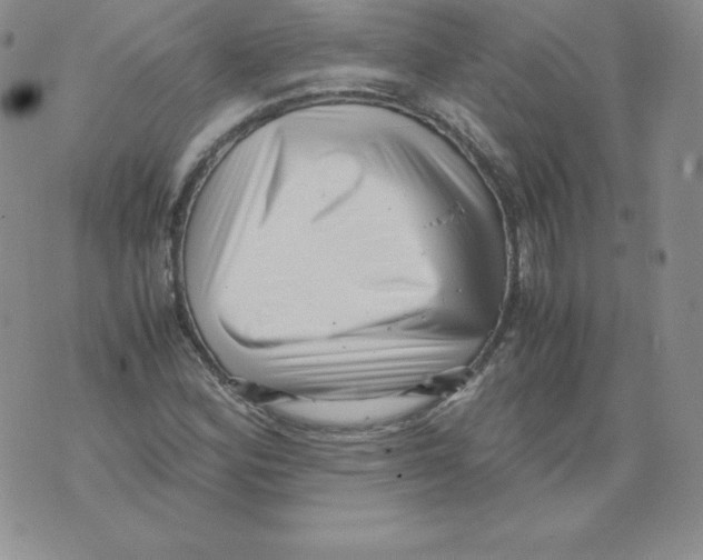 X0000071781164200607282231