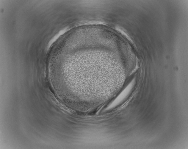 X0000071781165200607282231