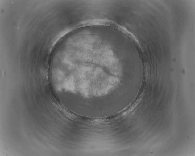 X0000071781166200607282231