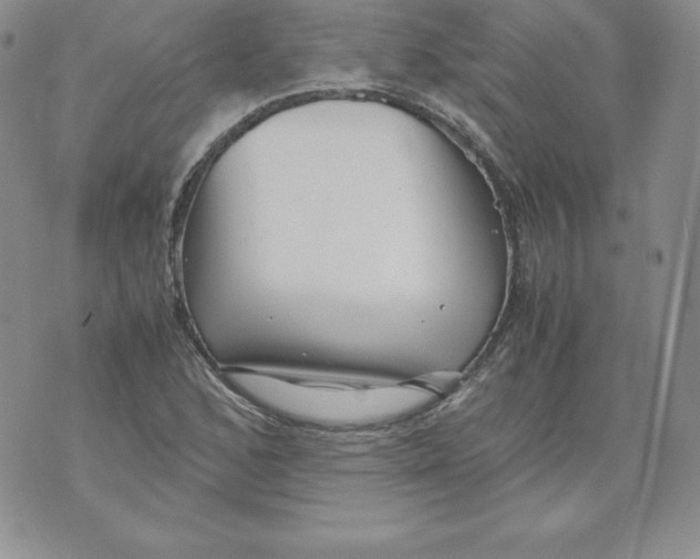 X0000071781168200607282231