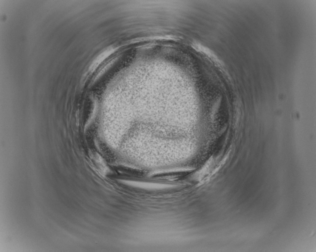 X0000071781169200607282231