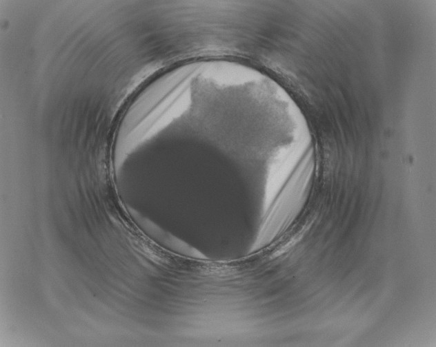 X0000071781170200607282231