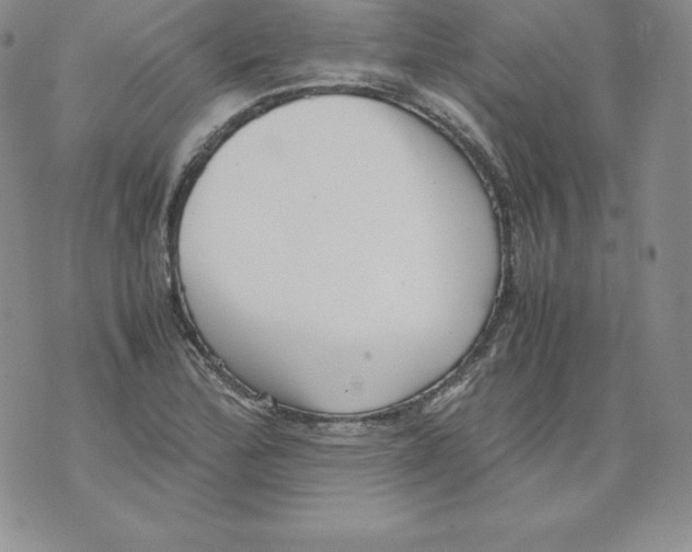 X0000071781172200607282231