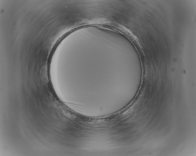 X0000071781174200607282230