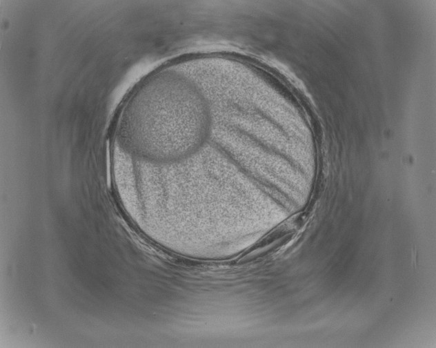 X0000071781175200607282230