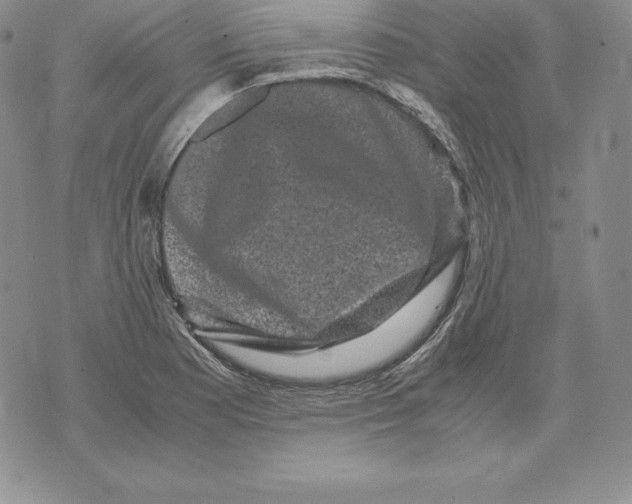 X0000071781177200607282230