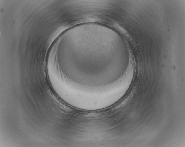 X0000071781178200607282230