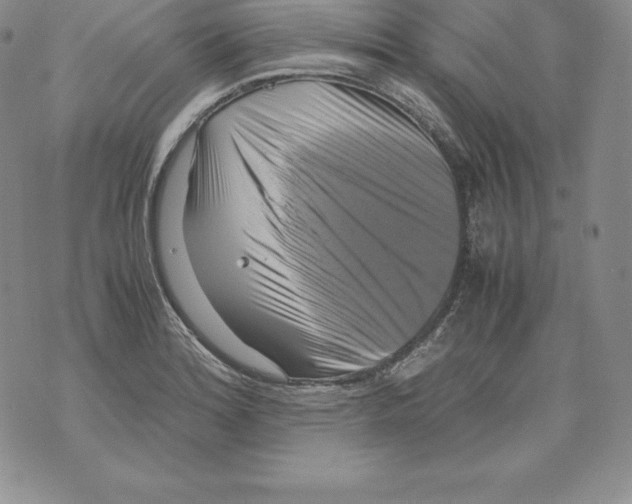 X0000071781180200607282230