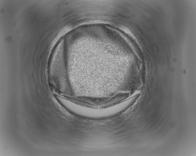 X0000071781181200607282230