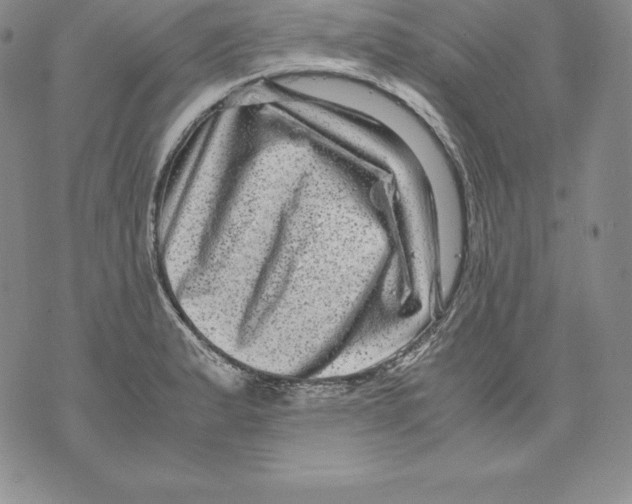 X0000071781183200607282230