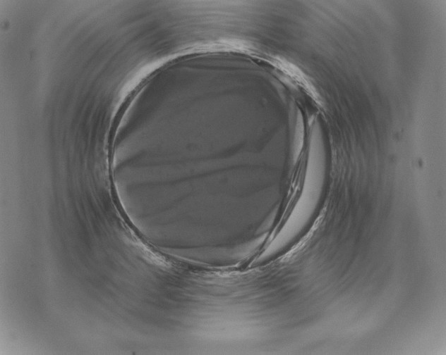 X0000071781184200607282230