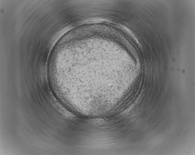 X0000071781186200607282230