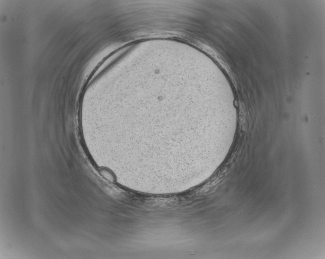 X0000071781187200607282230