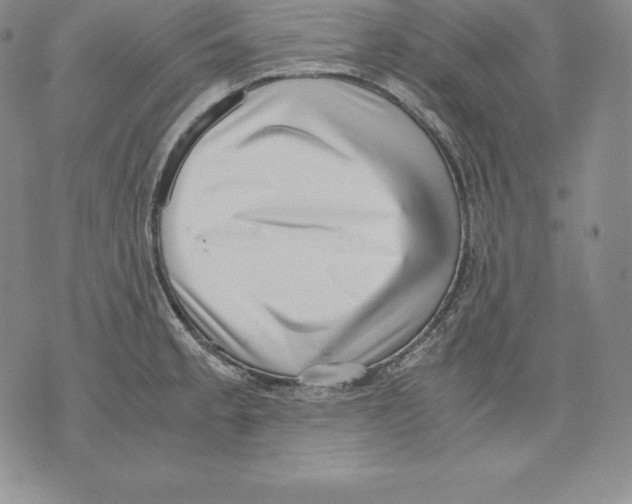 X0000071781189200607282230