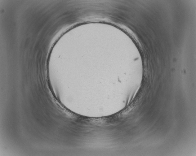 X0000071781191200607282230