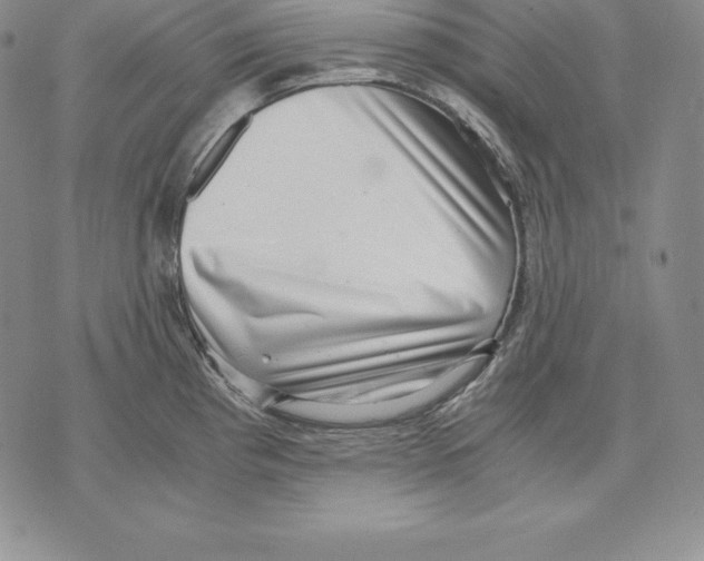 X0000071781193200607282230